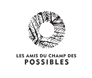 Cdp Amis Logo Blk